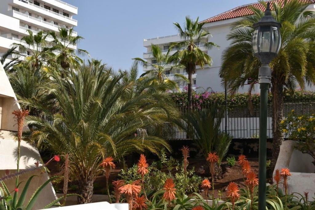 Apartamento Las Veronicas Arona  Bagian luar foto
